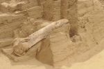 PICTURES/The Mammoth Site/t_Femur1a.jpg